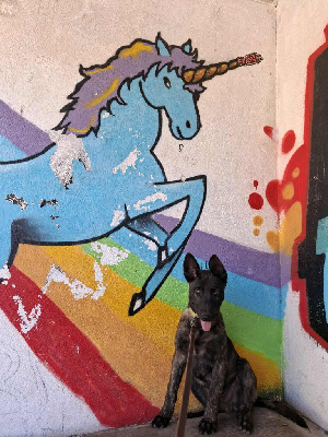 CHIOT 3